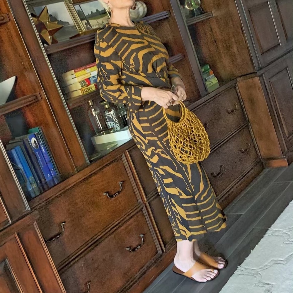 H&M Brown Zebra Long Sleeve Dress